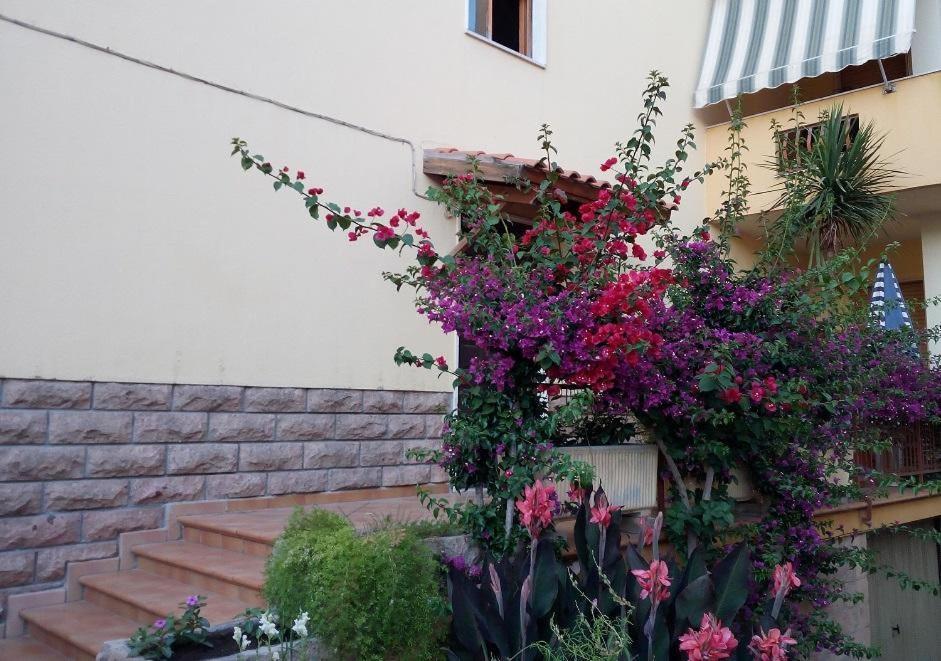 Bed and Breakfast Al 32 Y 3 Alghero Esterno foto